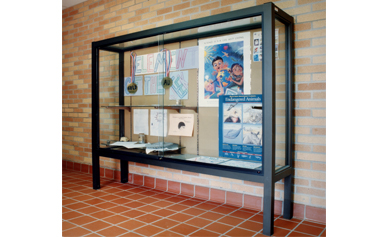Free Standing Display Cases